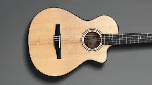 Taylor-guitars 312CE-N