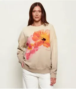 Толстовка NOAH relaxed fit Desigual, бежевый