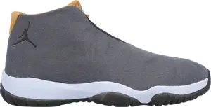 Кроссовки Jordan Future Grey Wheat, серый