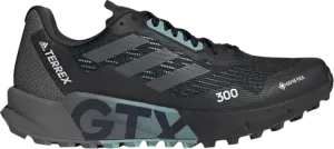 Кроссовки Adidas Wmns Terrex Agravic Flow 2.0 GTX 'Black Grey Mint Ton', черный