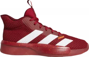 Кроссовки Adidas Pro Next 2019 'Scarlet', красный