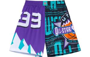 Повседневные шорты мужские разноцветные фиолетовые синие Mitchell Ness