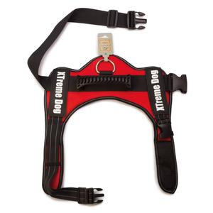 Шлейка для собак Arquivet Xtreme красная XL Arquivet, цвет красный