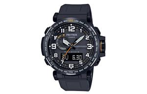 Мужские часы PRO TREK Black CASIO