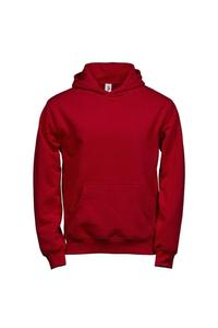 Толстовка с капюшоном TEE JAYS, красный