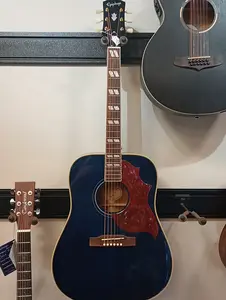 Акустико-электрогитара Epiphone Miranda Lambert Bluebird - Blue Bonnet
