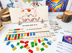 Соберите ДНК, деревянную головоломку, биологическую помощь, генетику. Inna marka