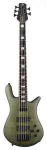 Spector Euro LX 5 Haunted Moss Matte - 5-струнная бас-гитара Darkglass