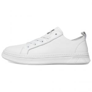 Мужские скейтерские кеды Low top HAPPY DINO, белый