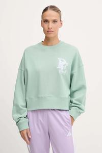 Хлопковая толстовка Summit P.E Nation, зеленый