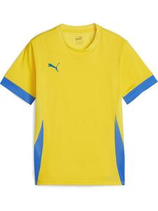 Спортивная футболка TeamGoal Matchday Jersey jr желтого цвета Puma