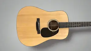 Martin New для 2025 D-18