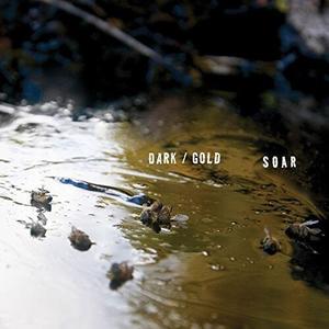Аудиокассета Soar: Dark / Gold