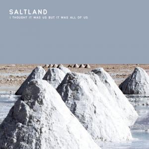 Виниловая пластинка LP I Thought It Was Us But It Was All Of Us - Saltland