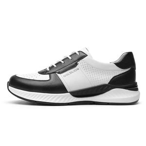 Кроссовки мужские Lifestyle Shoes Men Low-Top Goldlion, цвет White/Gray
