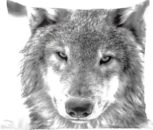 Декоративная подушка для дивана. Декоративная подушка для гостиной, 45x45 см. Волк зимой в черно-белом цвете. Подушка для сна. Подушка для дивана. MuchoWow