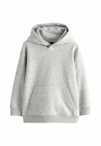 Обычная однотонная толстовка с капюшоном Next, Grey