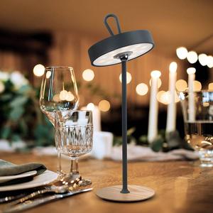 Светодиодная настольная лампа Näve Elli, сталь / силикон - 1 пламя - серый