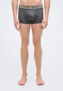 Трусы с низкой посадкой, плавки Versace, Grey/Gold-Coloured