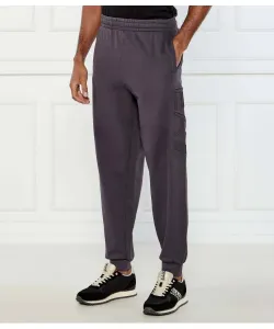 Спортивные штаны Regular fit Ea7, серый