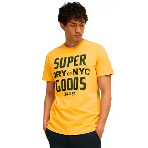 Футболка Superdry Embroidered Script Graphic, желтый