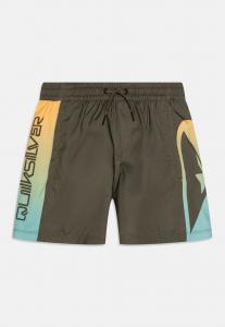 Пляжные шорты EVERYDAY HOLMES VOLLEY Quiksilver, хаки