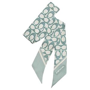 COACH Шелковый шарф унисекс зеленый, Green