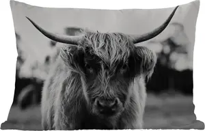 Подушка для улицы - шотландская горная корова - трава - животные - природа - 50 x 30 см - водонепроницаемая - подушка для отдыха - подушка для дивана - украшение для гостиной MuchoWow