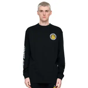 Футболка с длинным рукавом Santa Cruz Sw eagle, черный