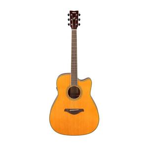 Акустическая гитара Yamaha Vintage Tint Yamaha Vintage Tint Acoustic Guitar