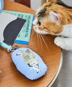 Брелок-подушка [Наша выставка кошек]