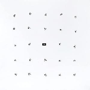 Виниловая пластинка LP Split Series #24 - Ian William Craig, Kago