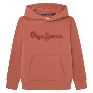 Худи Pepe Jeans PB581614, коричневый
