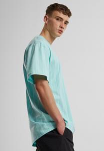 Футболка с принтом SMALL SIGNATURE ESSENTIAL STRIPE Karl Kani, светло-голубой