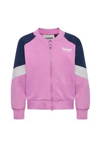 Толстовка Hummel LOOSE BLOCK ZIP, Violet/Lilac