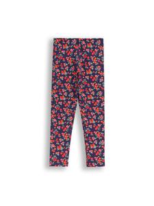 Леггинсы Coccodrillo, красочный
