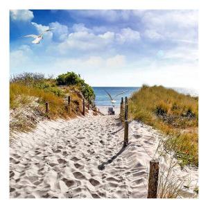 Фреска A.S. Création Way To The Beach, синий/зеленый