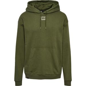 Мужская толстовка с капюшоном Hmllp10 Boxy Sweat для спорта и отдыха HUMMEL, цвет braun
