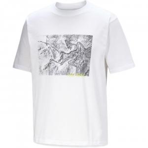 Футболка KRAGG SS25 мужская Arcteryx, слоновая кость/белый