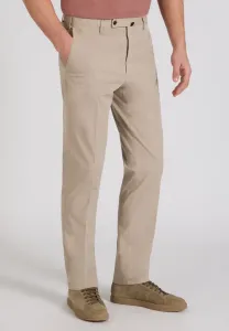 Брюки чиносы стандартного кроя в стиле «королевский батавия» Slowear, Dark Beige