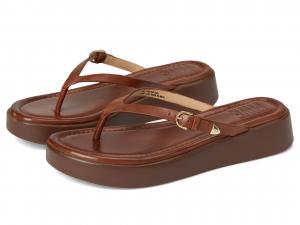 Сандалии Frye Maya Buckle Thong Sandals, Cinnamon