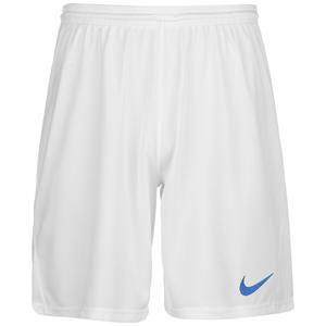 Обычные спортивные штаны NIKE Park III, White