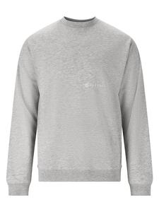 Толстовка Virtus, цвет 1005 light grey melange