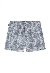 Живописные боксерские шорты Pockies, Blue