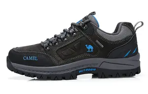 CAMEL Низкие уличные кроссовки мужские серые, цвет Gray