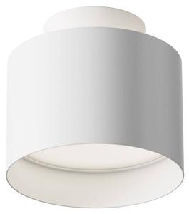 Потолочный светильник Maytoni Decorative Lighting Modern Hah 2, белый