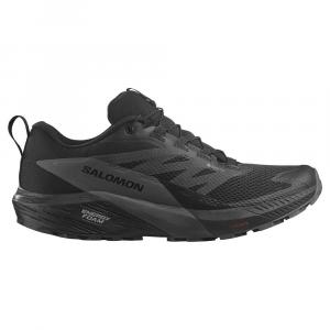 Кроссовки Salomon Sense Ride 5 Goretex Trail, черный