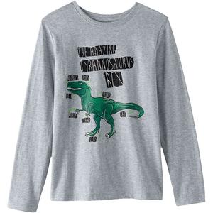 Футболка с длинными рукавами и рисунком для мальчиков Husky 10–20 Lands' End, цвет Gray Heather Dino