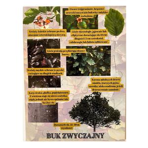 Бук обыкновенный, деревянный пазл, лесное образование. Inna marka