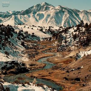 Виниловая пластинка LP Nothing Special [Sky Blue Vinyl] - Will Sheff